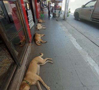 Auf der Suche nach den Tempeln der Flaschen rief Pattaya ich soll kommen.