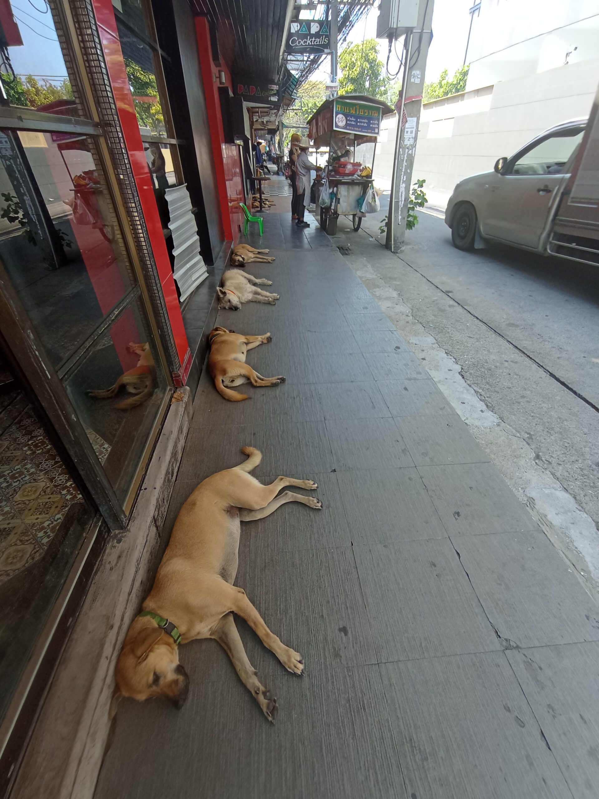 Auf der Suche nach den Tempeln der Flaschen rief Pattaya ich soll kommen.