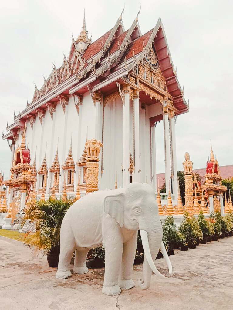 Roi ET- ist nett! 💜